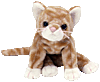 Amber the gold tabby