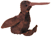Beak the Kiwi Bird