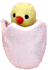 Eggbert the babt chick