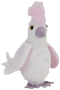 KuKu the cockatoo