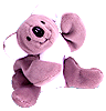 Mel the koala bear