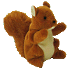 Nuts the squirrel