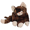 Pounce the cat