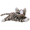 Prance the Cat