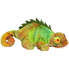 Iggy the iguana with Rainbows fabric