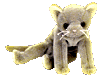 Scat the Cat