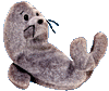 Slippery the Seal