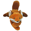 Sly the wite bellied fox
