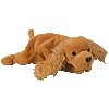 Spunky the dog