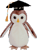 Wise the owl